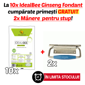 Promoție IdealBee Ginseng Fondant 1kg